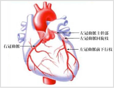 虚血性心疾患（冠動脈疾患）の手術 - 患者さんへ - 京都大学 心臓血管外科